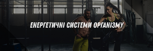 Енергетичні системи організму